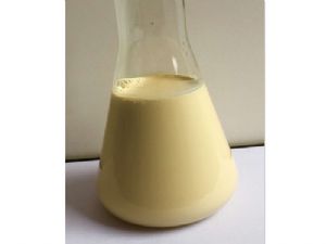 棕櫚蠟乳液156Y35
