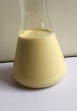 霧面（啞面）棕櫚蠟乳液156Y28